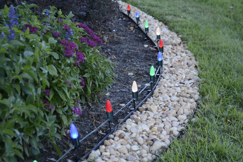 Multicolor C9 lights along a landscape bed and pathway